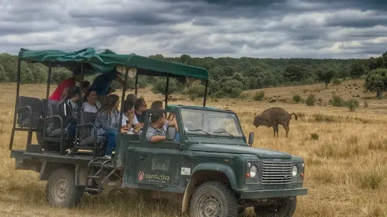 Safari Paleolítico Vivo- Salgüero de Juarros 3.3 (3)