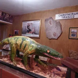 Exposicion de fosiles en Cervera de Pisuerga