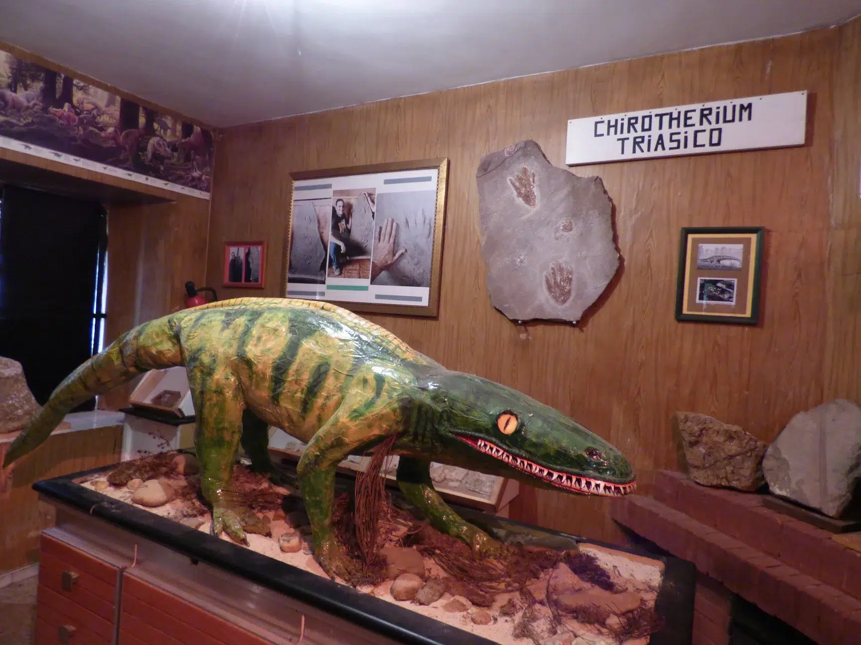 Exposicion de fosiles en Cervera de Pisuerga