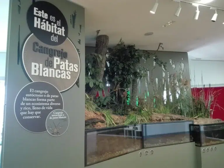 Parque de las Aves y Museo del Cangrejo – Herrera de Pisuerga 3 (1)
