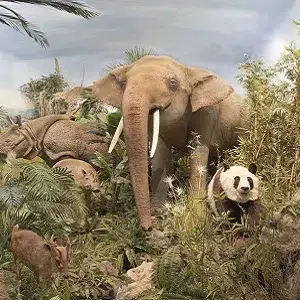 Museo de la Fauna Salvaje en Valdehuesa