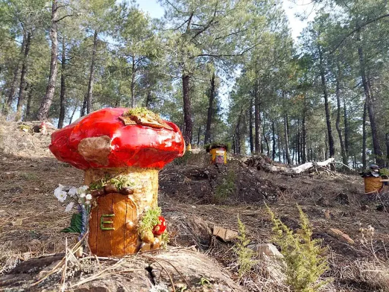 Ruta por el Bosque Mágico de Alija del Infantado 0 (0)