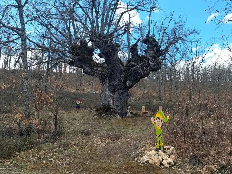 Ruta de la Casita del Duende – Villanófar de Rueda 0 (0)
