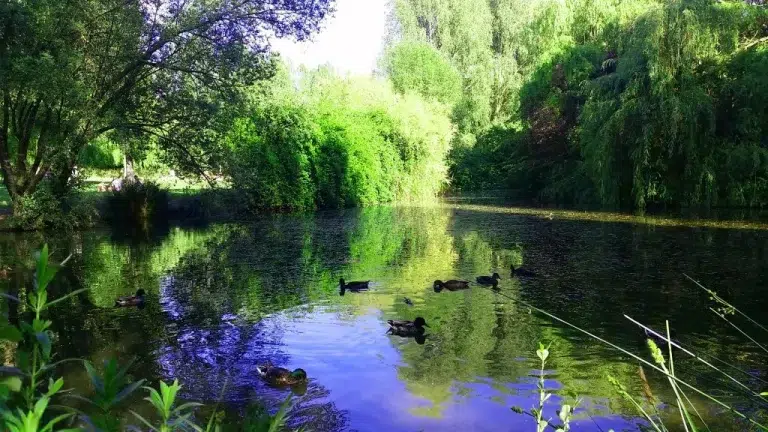 Parque de la Candamia – León, Villaobispo 0 (0)