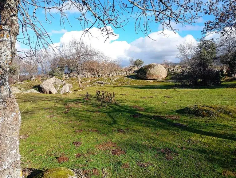 El Berrocal de Ortigosa del Monte 0 (0)