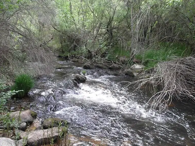 Ruta por el Barranco del Río Cega – Senda de los Pescadores 0 (0)