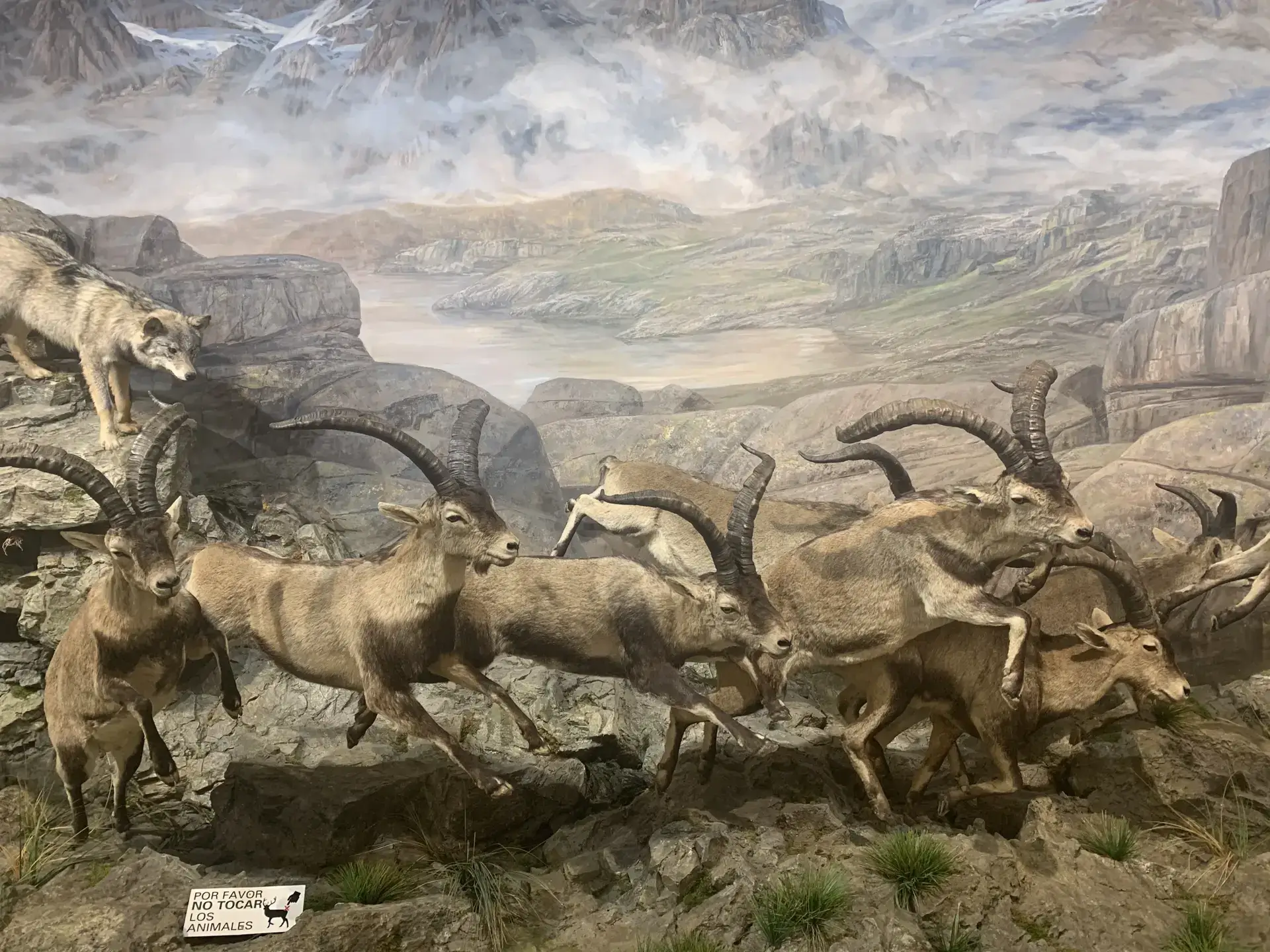 Museo de la Fauna Salvaje en Valdehuesa