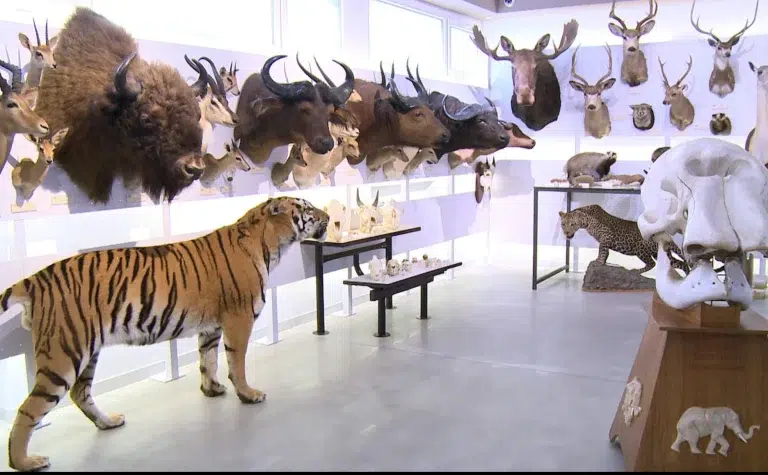 Museo de Colecciones MULE – Universidad de León 0 (0)