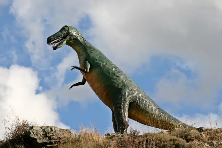 Ruta por la Senda de los Dinosaurios de Enciso 0 (0)