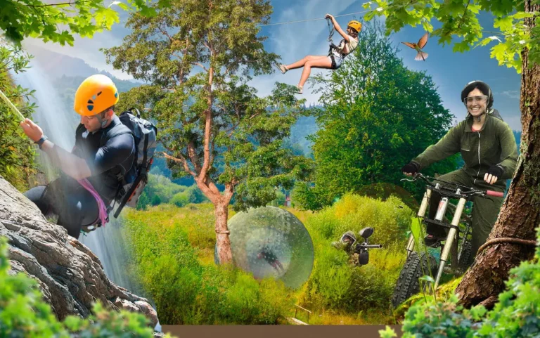Campo Activo, Parque de Aventuras – Hornos de Moncalvillo 0 (0)