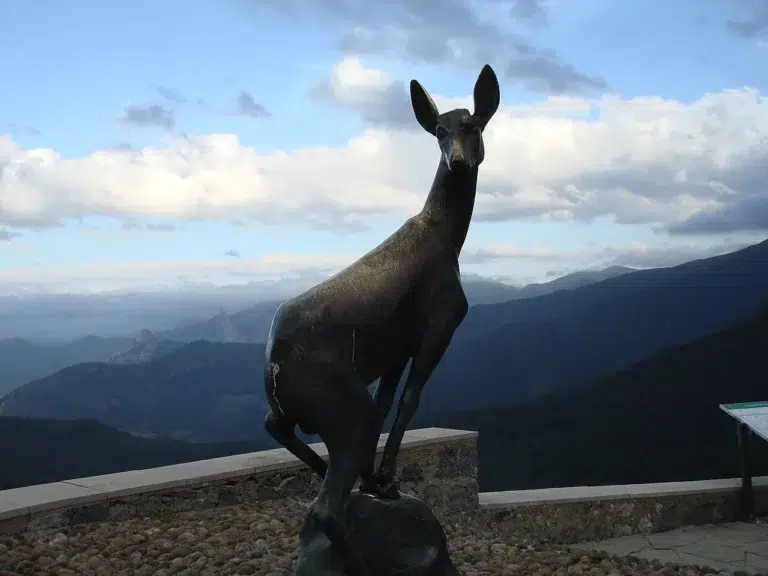 Mirador del Corzo – Puerto de San Glorio 0 (0)