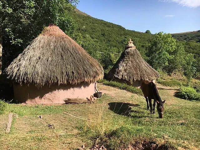 Poblado Cántabro de Argüeso 0 (0)