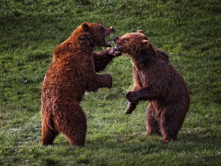¿Qué saber antes de visitar el Parque de Cabárceno? – Cantabria 0 (0)