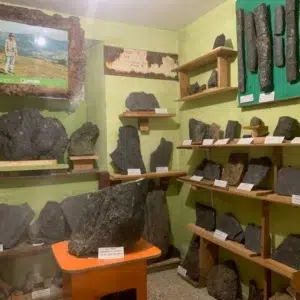 Exposicion de fosiles en Cervera de Pisuerga
