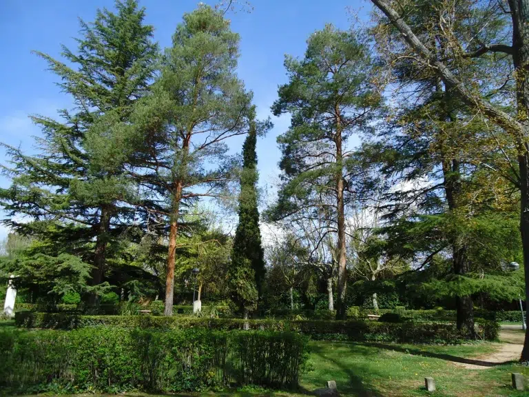 Parque la Arboleda – Almazán 4 (1)
