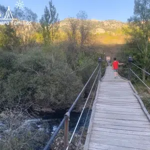 Puente colgante de Alejico