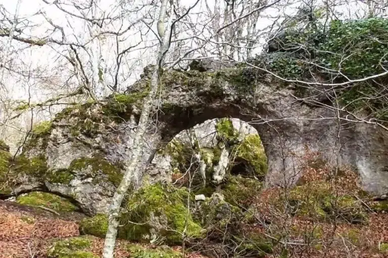 Arco de Zalamportillo