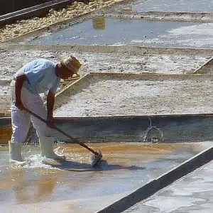 Trabajador del Valle salado de Añana