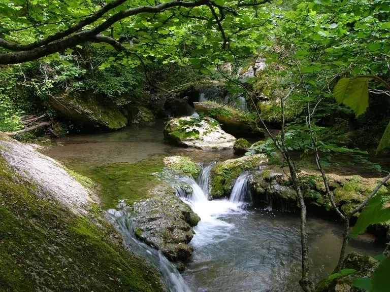 Ruta por el desfiladero del Río Purón 0 (0)