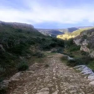 Calzada medieval del Almiñé