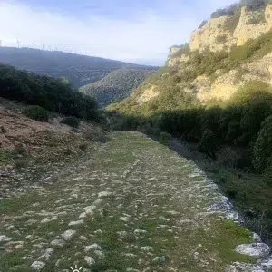 Calzada medieval del Almiñé