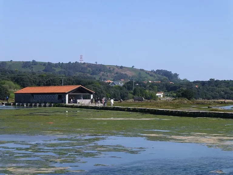 Ruta por las Marismas de Santoña y centro de interpretación 0 (0)