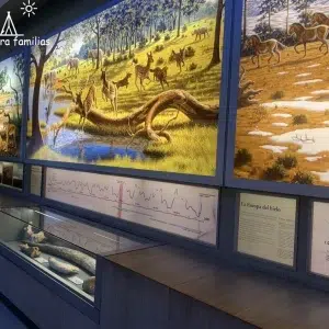 Museo Nacional y Centro de Investigación de Altamira