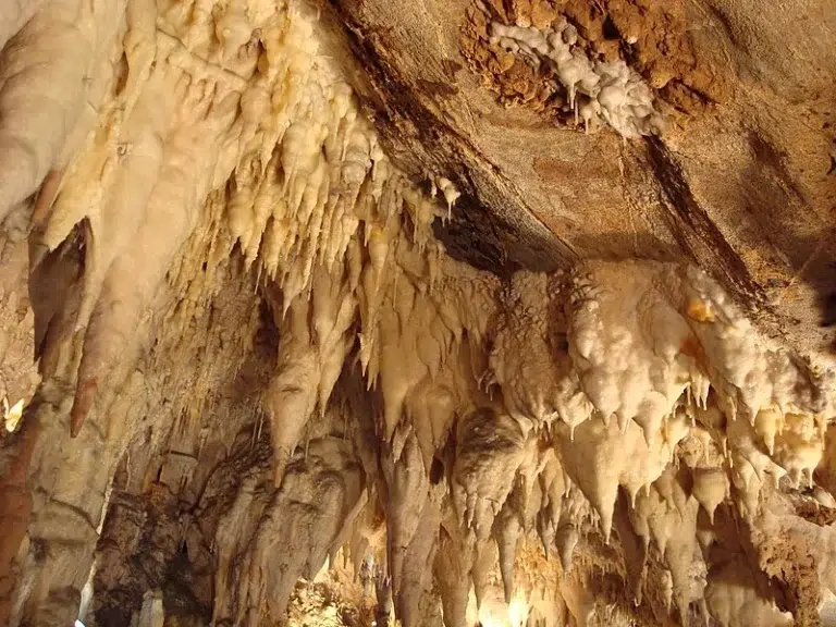 Cuevas de Ortigosa – Ortigosa de Cameros 4 (1)