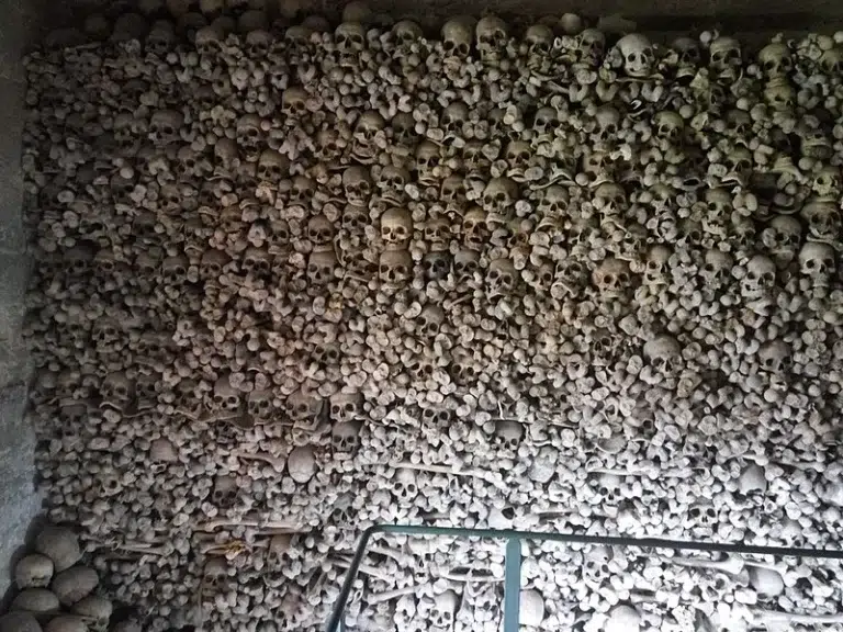 Osario de Wamba, viaje al mundo de la muerte – Wamba 0 (0)