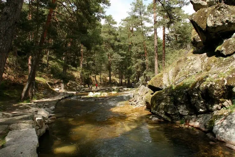 Area recreativa Boca del Asno – Sierra de Guadarrama 0 (0)