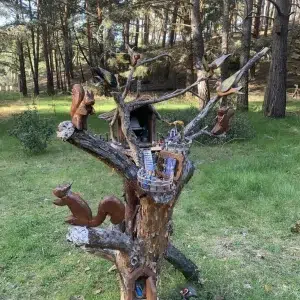 Bosque de San Leonardo de Yagüe en Soria