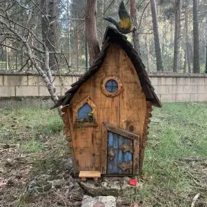 Bosque de San Leonardo de Yagüe en Soria