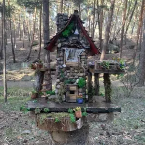 Bosque de San Leonardo de Yagüe en Soria