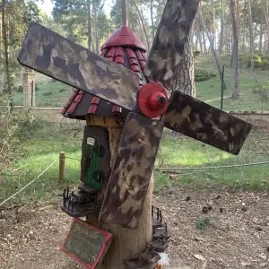 Bosque de San Leonardo de Yagüe en Soria