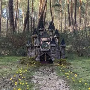 Bosque de San Leonardo de Yagüe en Soria