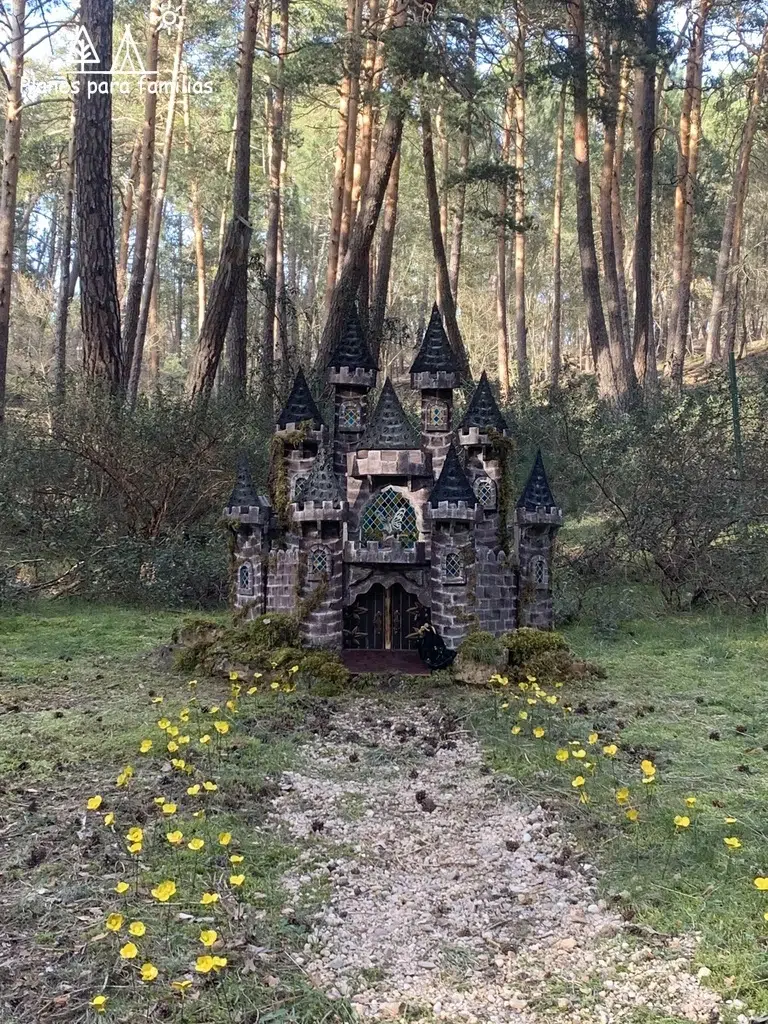 Bosque de San Leonardo de Yagüe en Soria
