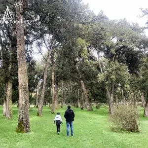Sabinar de Calatañazor