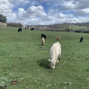 Monte Valonsadero en Soria