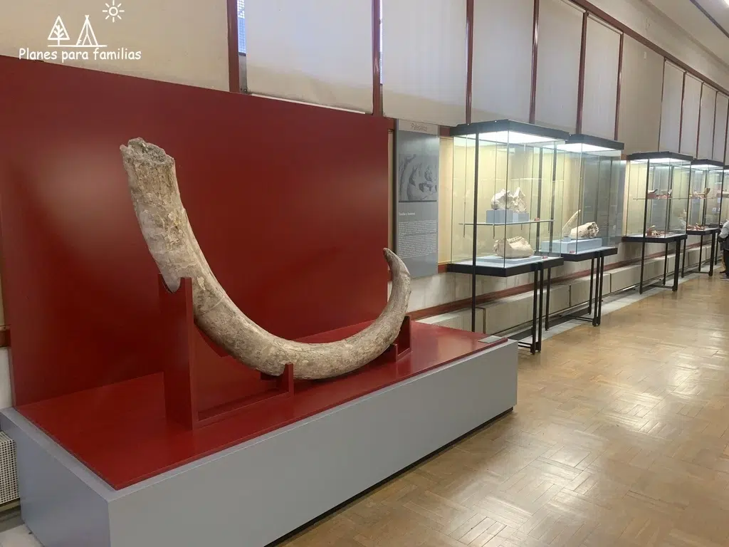 Museo Numantino de Arqueología