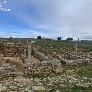 Yacimiento de Numancia
