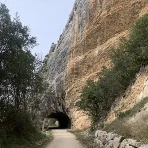 Paseo del Oca en Oña