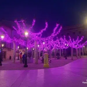 Soria nocturna