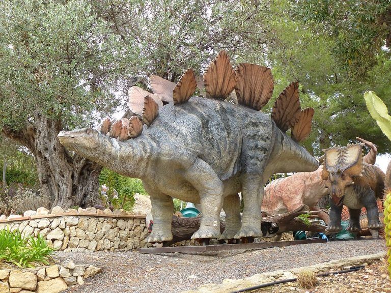 Dino Park Algar – Callosa d’en Sarrià 4 (3)