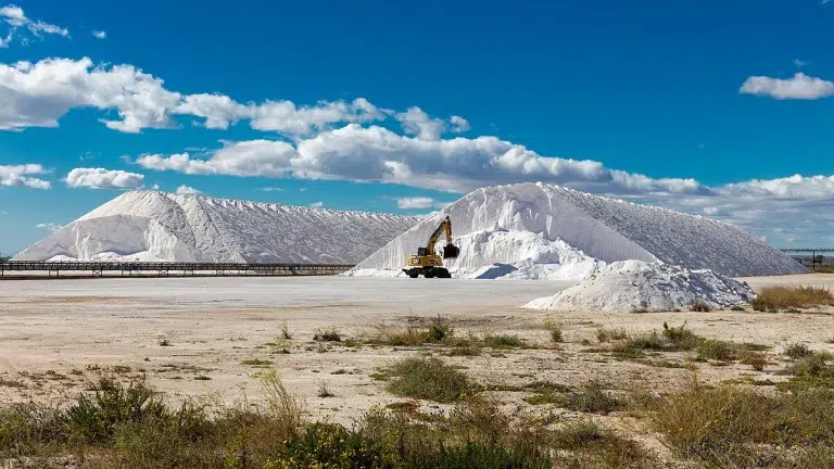 Visita a las Salinas de Santa Pola 4 (3)