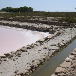 Salinas de Santa Pola