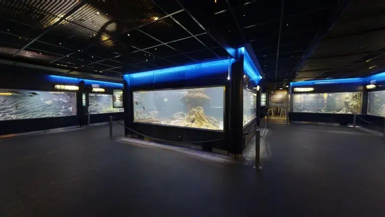 Museo del Mar y Acuario de Santa Pola 4 (3)