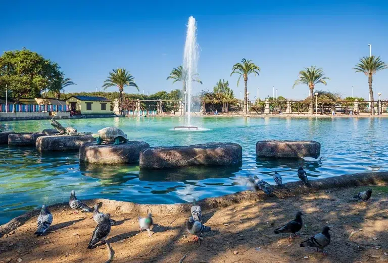 Parque de las Naciones – Torrevieja 3.5 (2)