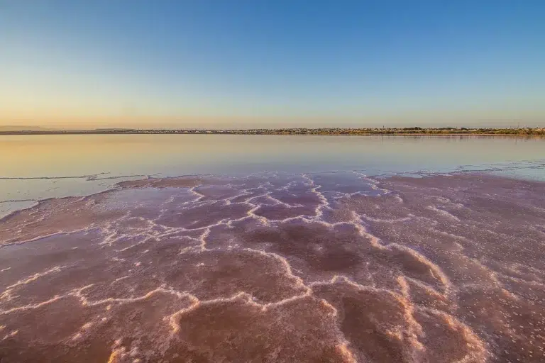 Laguna Rosada de la Mata – Torrevieja 4 (3)