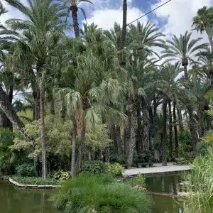 Huerto del Cura en Elche