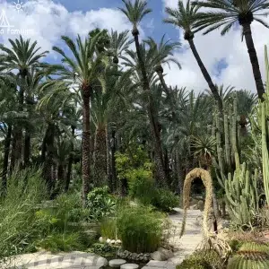 Huerto del Cura en Elche